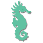 About us page cartoon graphic of spearmint colored seahorse with shadow